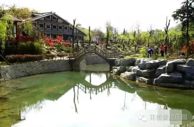 這個周末，隴南康縣花橋有大事要發(fā)生？
