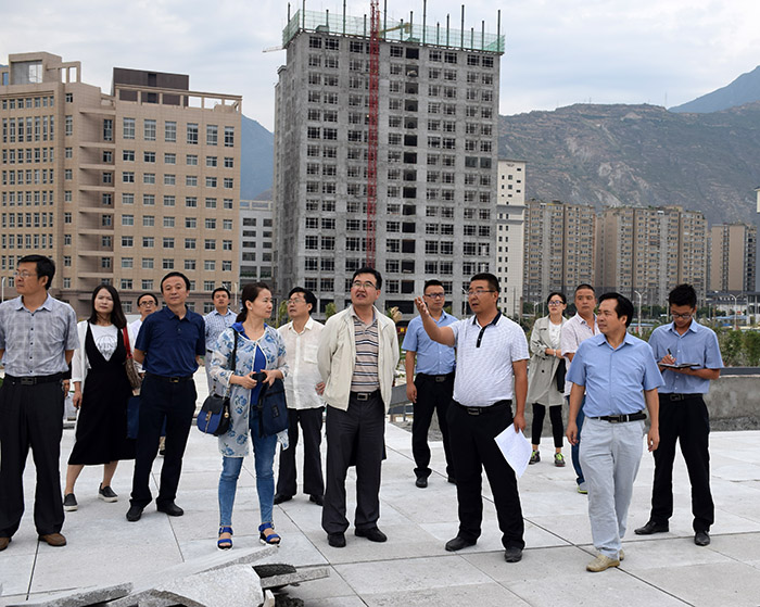 省、市聯(lián)合工作組蒞臨階州廣場檢查指導(dǎo)工作