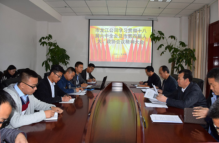 市龍江公司召開全體員工大會，專題傳達(dá)學(xué)習(xí)上級會議精神