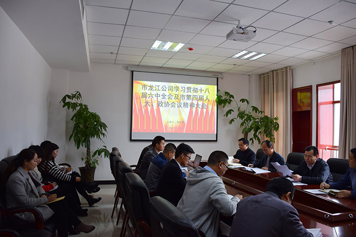 市龍江公司召開全體員工大會，專題傳達(dá)學(xué)習(xí)上級會議精神